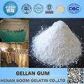 High quality gellan gum price for white sugar